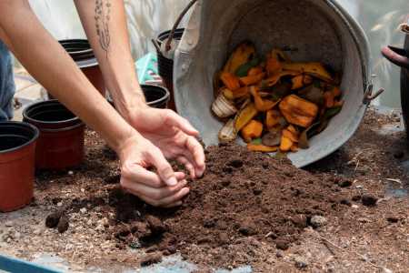 Compostagem
