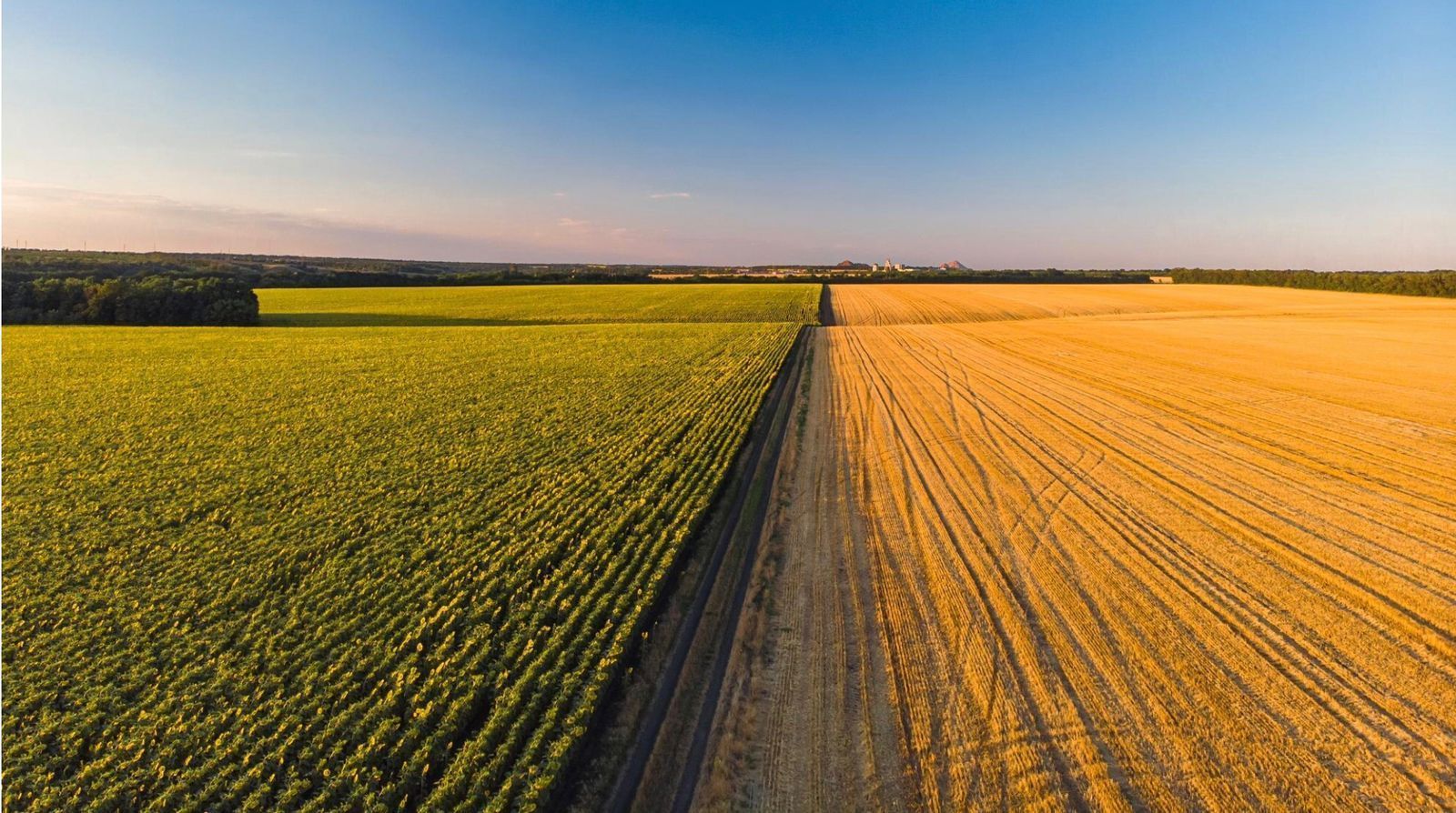 Valdir Barbosa | Agropecuária e agronegócio são coisas diferentes, mas com dependência direta entre os setores