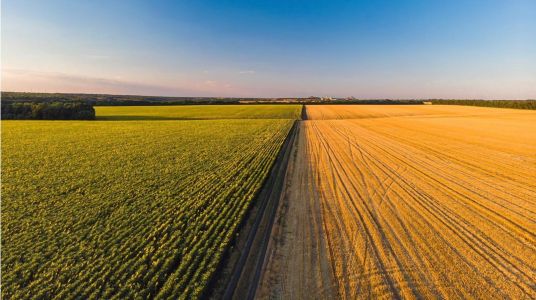 Agronegócio comanda o setor secundário na produção industrial