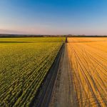 Valdir Barbosa | Agropecuária e agronegócio são coisas diferentes, mas com dependência direta entre os setores