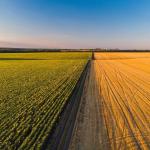 Valdir Barbosa | Agropecuária e agronegócio são coisas diferentes, mas com dependência direta entre os setores