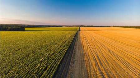 Agronegócio comanda o setor secundário na produção industrial
