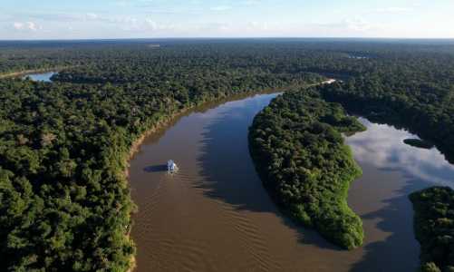 Dados reunidos no relatório apontam a necessidade e a urgência de zerar o desmatamento na região amazônica