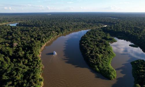Dados reunidos no relatório apontam a necessidade e a urgência de zerar o desmatamento na região amazônica