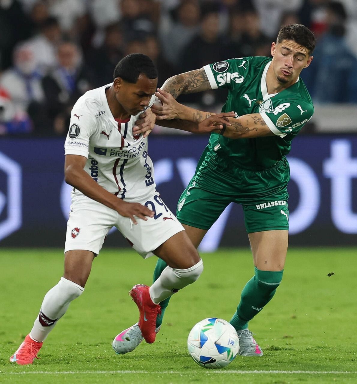 Palmeiras perde invencibilidades em goleada para a LDU na semi da Libertadores