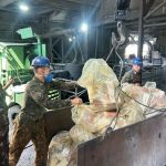 Polícia Federal incinera toneladas de maconha em Montes Claros nesta sexta-feira (24)