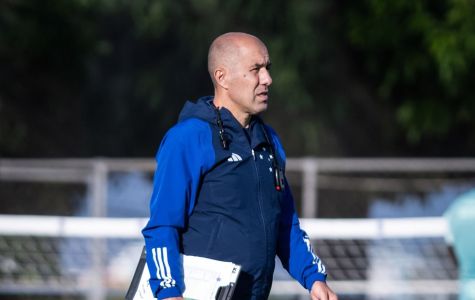 Leonardo Jardm, técnico do Cruzeiro