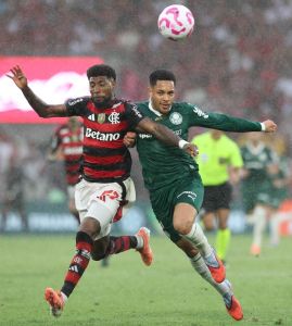 Palmeiras e Flamengo se enfrentarão na final da Copa Libertadores, no dia 29 de novembro