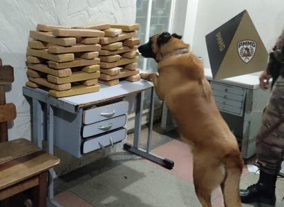 Cachorro em operação polícial de apreensão em Montes Claros