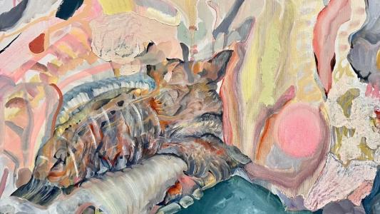 Exposição "Olho Mágico", da artista Carolina Botura