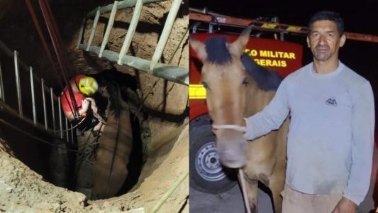 cabavlo resgatado