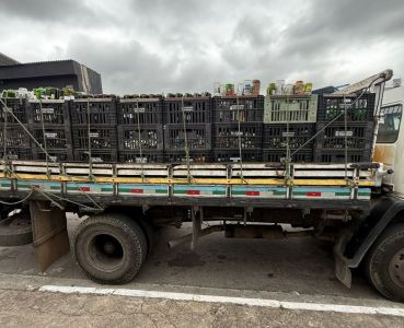 Operação da Polícia Civil em São Paulo apreendeu mais de 500 mil garrafas de bebidas