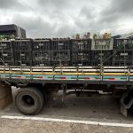Cinco pessoas são presas e mais de meio milhão de garrafas apreendidas em operação em SP