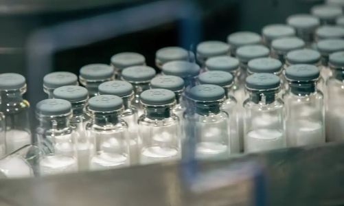 Imunizante do Butantan é considerado um processo prioritário dentro da Anvisa