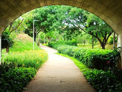 Trilha gratuita é a atração do Parque Nossa Senhora da Piedade