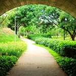 Parque Nossa Senhora da Piedade terá trilha guiada gratuita neste sábado (15)