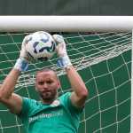 Palmeiras terá retornos para jogo contra o Vitória; veja cada caso