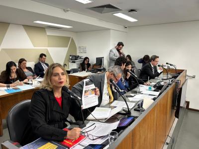 Projeto foi discutido na Comissão de Constituição e Justiça (CCJ)