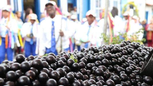 39ª edição do Festival da Jabuticaba homenageia o fruto elevado à categoria de Patrimônio Imaterial e Cultural da cidade