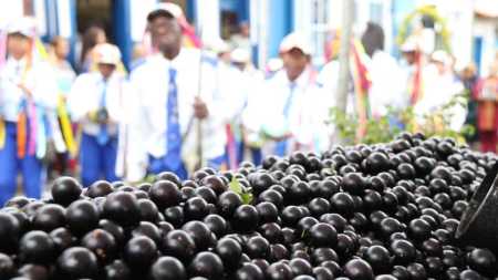 39ª edição do Festival da Jabuticaba homenageia o fruto elevado à categoria de Patrimônio Imaterial e Cultural da cidade