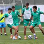 Escalação do Palmeiras: veja provável time para enfrentar o Fluminense