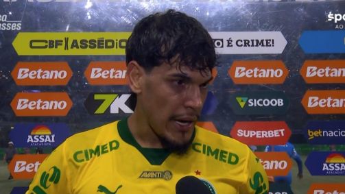 Gustavo Gómez, do Palmeiras, após partida contra o Fluminense