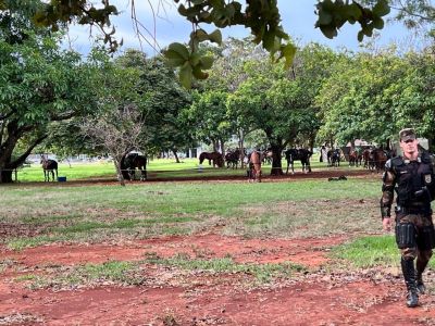 Cavalaria foi mobilizada no Comando do Exército