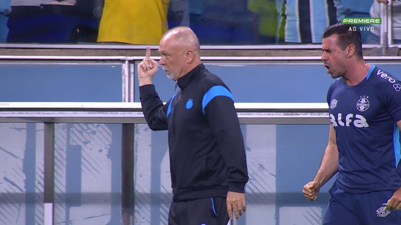 Mano Menezes faz gesto obsceno para torcida do Grêmio após gol contra o Palmeiras