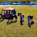 I Exposição Especializada Lut’z do Mangalarga Marchador é realizada em Montes Claros