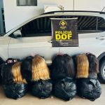 Ex-vereador é preso transportando 257 quilos de cabelo humano