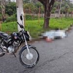 Homem tem fim trágico após bater motocicleta em árvore na Grande BH
