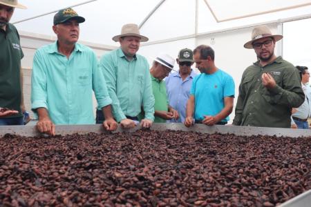 Objetivo é fortalecer a cadeia produtiva e consolidar Minas Gerais como novo polo do cacau no Brasil.