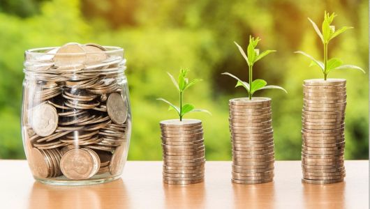 Meio ambiente moedas