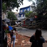 Ciclone extratropical: parques são fechados em São Paulo após ventos de 90 km/h