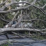 Chuva forte em São Paulo pode continuar até terça, diz alerta da Defesa Civil