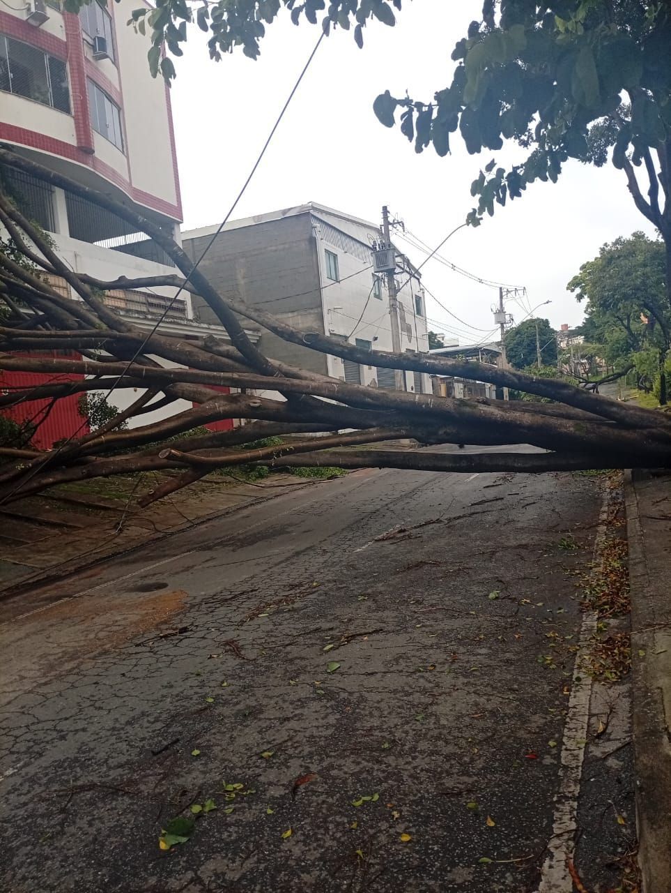 Dois dias após temporal em BH, imóveis seguem sem luz nas regiões de Venda Nova e Pampulha