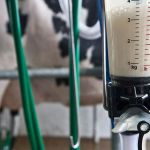 Preço do leite em Minas cai pela sétima vez seguida e crise se aprofunda no campo