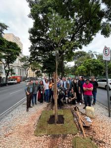 Muda escolhida é de pau-brasil, espécie nativa da Mata Atlântica e ameaçada de extinção