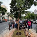 Prefeitura de BH planta 'árvore 50 mil' e celebra cumprimento de meta em 2025