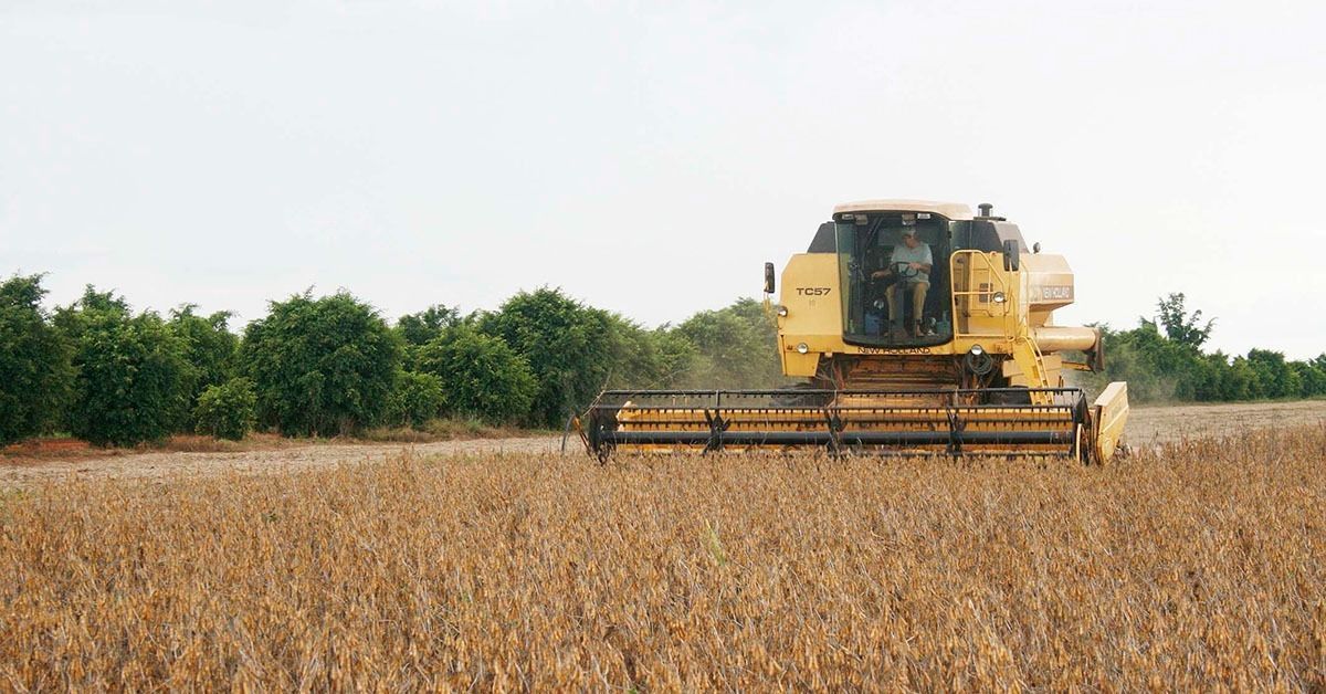 Minas Gerais deve colher 18,7 milhões de toneladas de grãos na safra 2025/26