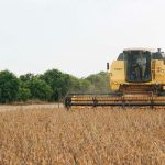 Minas Gerais deve colher 18,7 milhões de toneladas de grãos na safra 2025/26