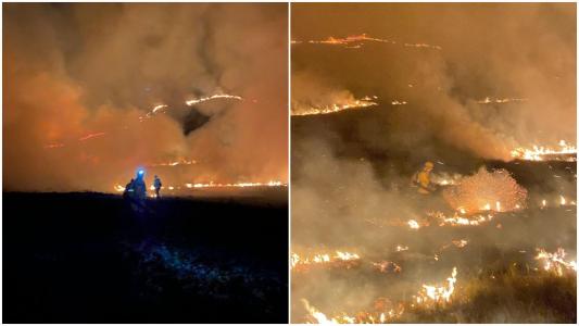 As chamas atingiram vegetação na região norte do parque, conhecida como Travessão