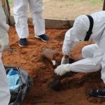 Polícia Civil investiga morte de mais de 20 cavalos no Amazonas