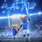 Cruzeiro manda recado à torcida ao celebrar Ano-Novo; veja