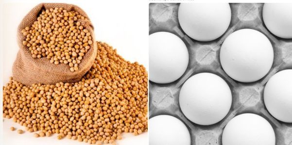 Soja e ovos