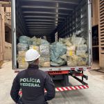 PF incinera quase 8 toneladas de drogas em Minas Gerais; veja vídeo