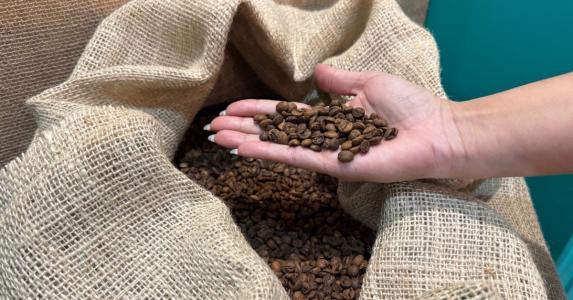 Acordo UE-Mercosul pode trazer novos panoramas para o café mineiro