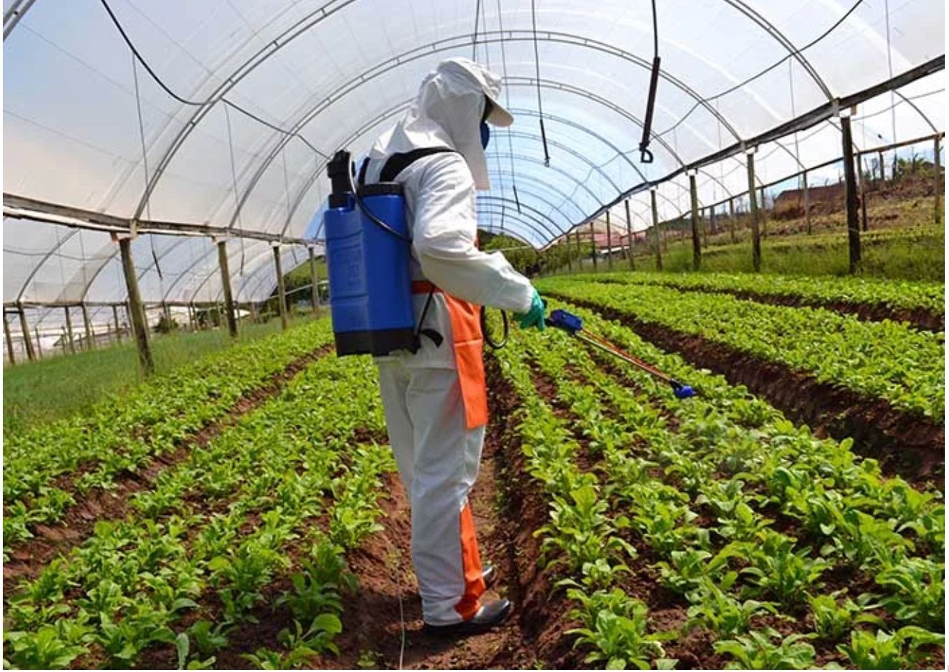 Valdir Barbosa | Anvisa vai fiscalizar defensivos agrícolas para mais segurança ao consumidor