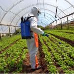 Valdir Barbosa | Anvisa vai fiscalizar defensivos agrícolas para mais segurança ao consumidor