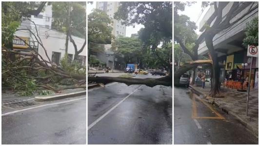 A queda atingiu um carro, mas ninguém ficou ferido